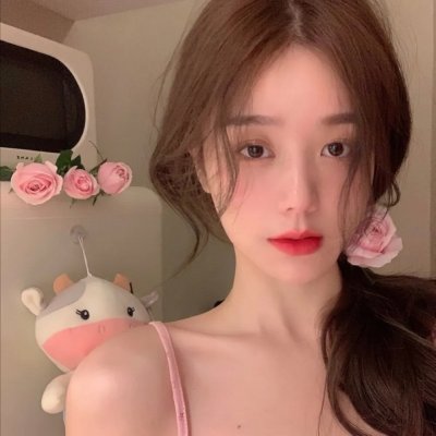 少女十五十六时 海报